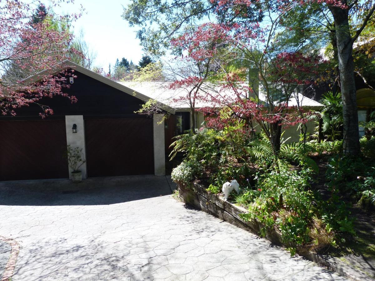 Fred&Donz Bed&Breakfast Tauposee Exterior foto