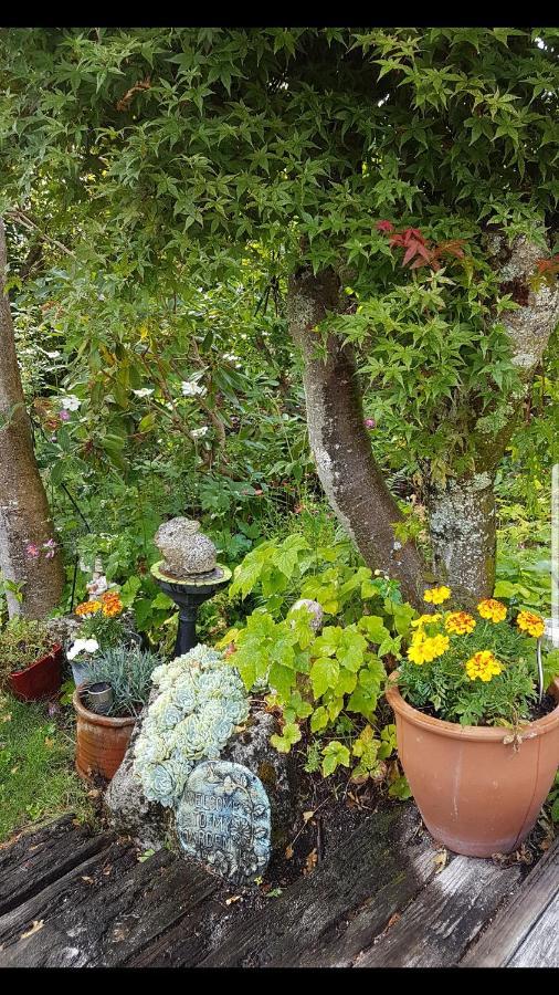 Fred&Donz Bed&Breakfast Tauposee Exterior foto