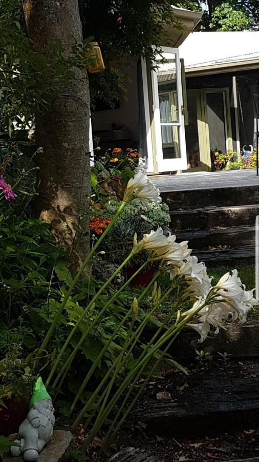 Fred&Donz Bed&Breakfast Tauposee Exterior foto